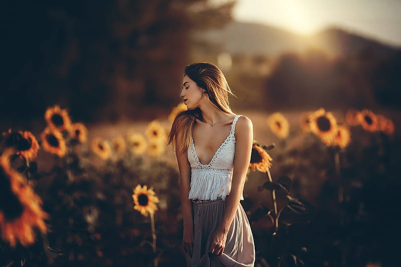 Girl Sunflower Field , girls, model, HD wallpaper