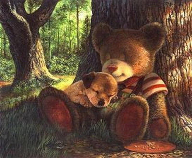 A LITTLE NAP, bear, nap, teddy bear, dog, HD wallpaper