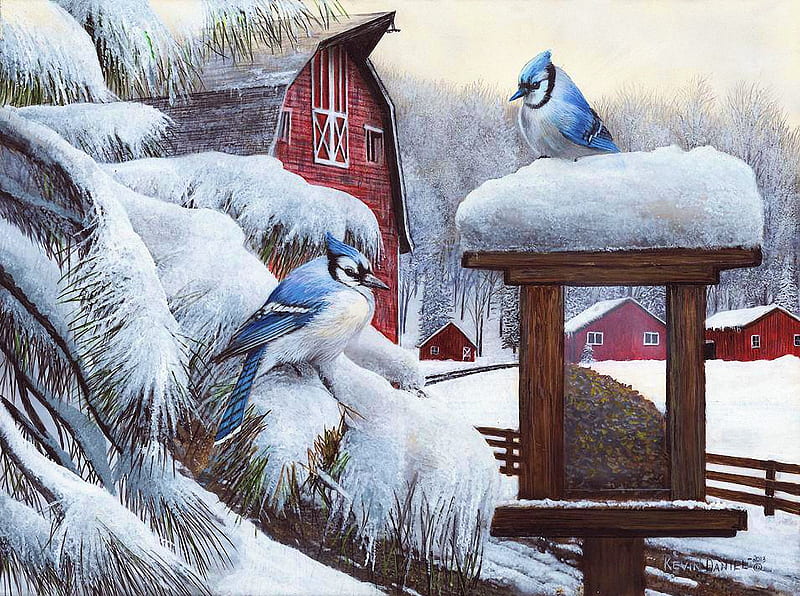 Blue Love, tree, feeder, snow, birds, artwork, Blue jays, winter, barn, painting, HD wallpaper