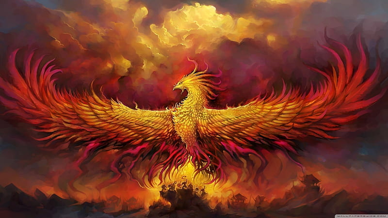 pheonix, bird, color, dragon, dragons, fire, phoenix, red, right, splash, super, HD wallpaper
