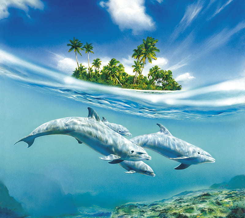 Dolphin Dance, ocean, HD wallpaper