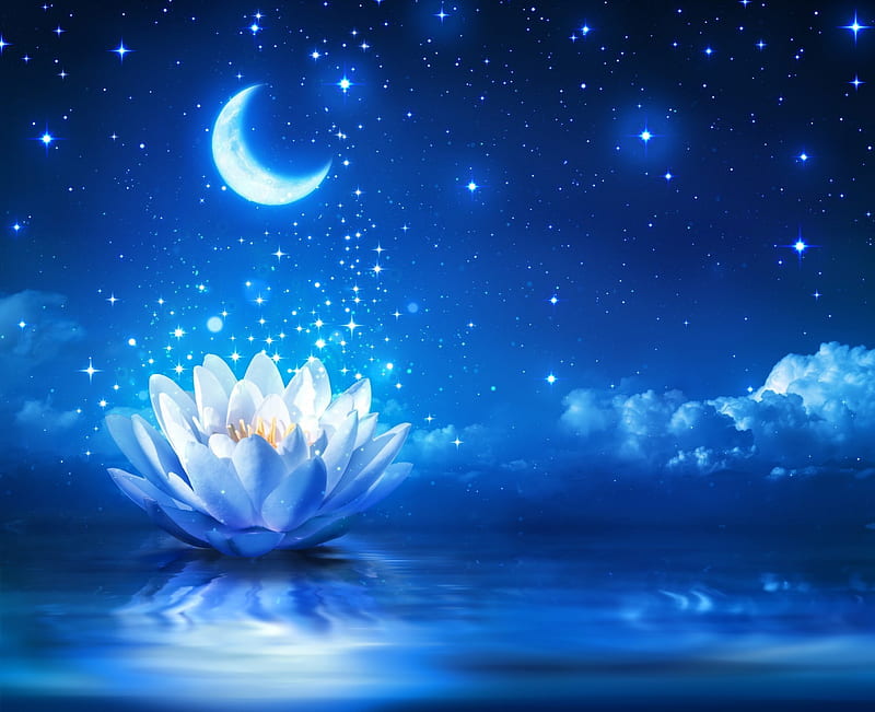 Sparkling Water Lily, stars, lotus, bloom, clouds, sparkle, moon, water, flower, lily, blue, HD wallpaper