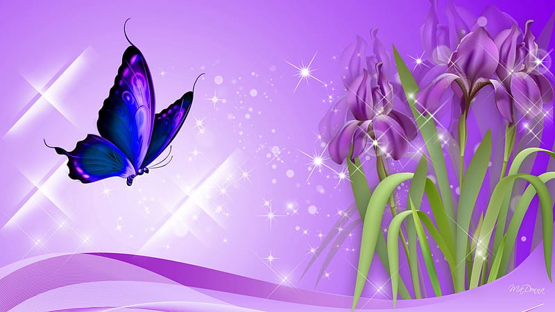 Iris Purple, lilac, stars, glow, ribbon, spring, lavender, sparkle, butterfly, purple, summer, flowers, iris, HD wallpaper