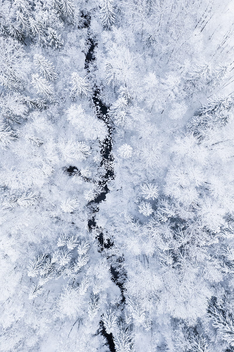 forest, river, aerial view, snow, winter, white, HD phone wallpaper