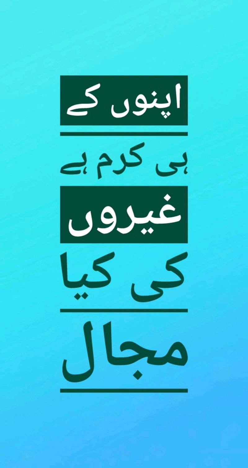 Urdu Quote, funny, heart, quotes, sad, success, you, HD phone wallpaper |  Peakpx