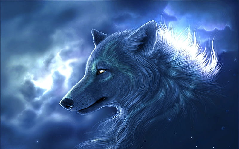 white wolf, predators, night, art, wolf, HD wallpaper