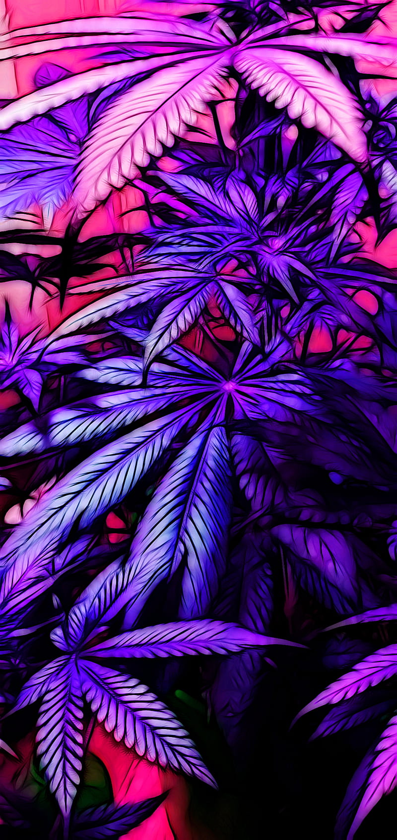 TrippyWeed , cannabis, colorful, marijuana, pink, psicodelia, purple, rainbow, trippy, tropical, HD phone wallpaper