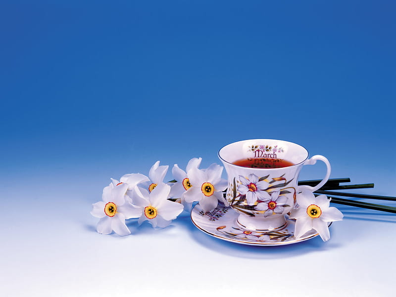let's have a cup of tea , feng shui, flowers, cup, bonito, wellness, white, tea, blue, HD wallpaper