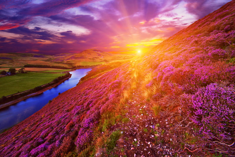 Scotland Sunrise, flowers, lake, mountian, mountains, clouds, scenery, nature, HD wallpaper