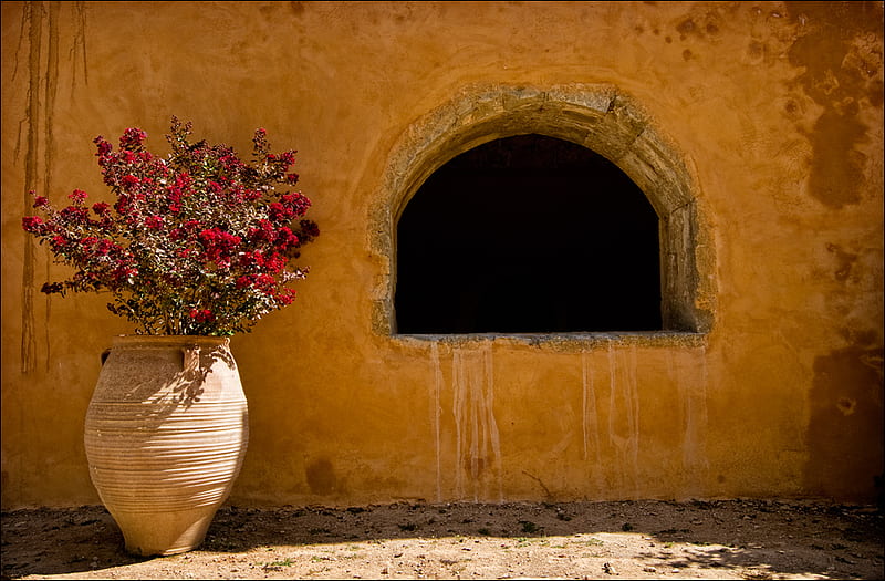 Convent Garden, flower, vase, window, stone, HD wallpaper