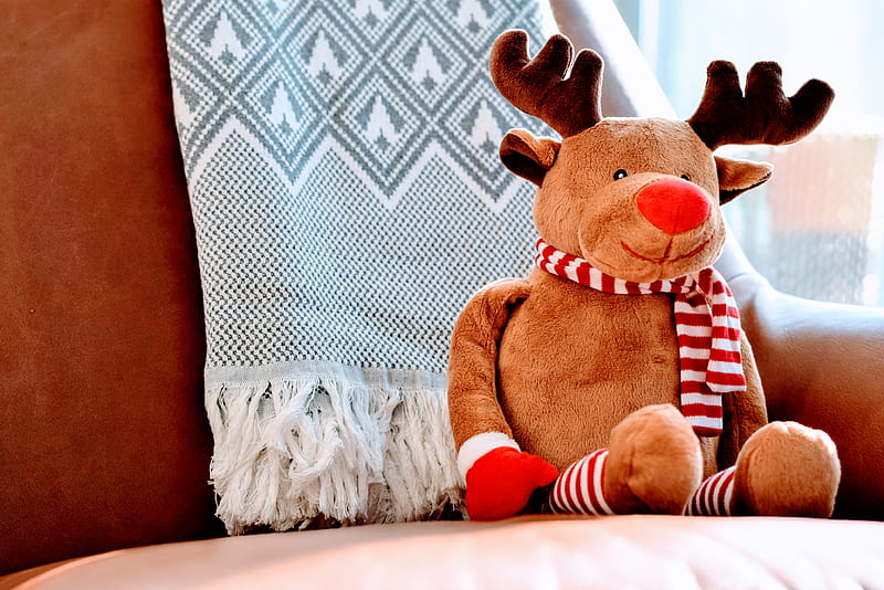 brown deer plush toy, HD wallpaper
