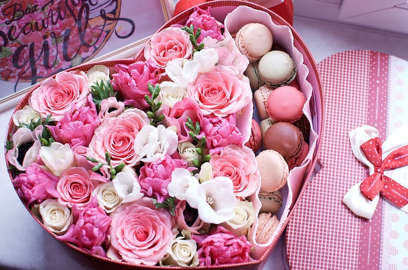 Valentine's Day, Love, Flower, Rose, Holiday, White Flower, Macaron ...