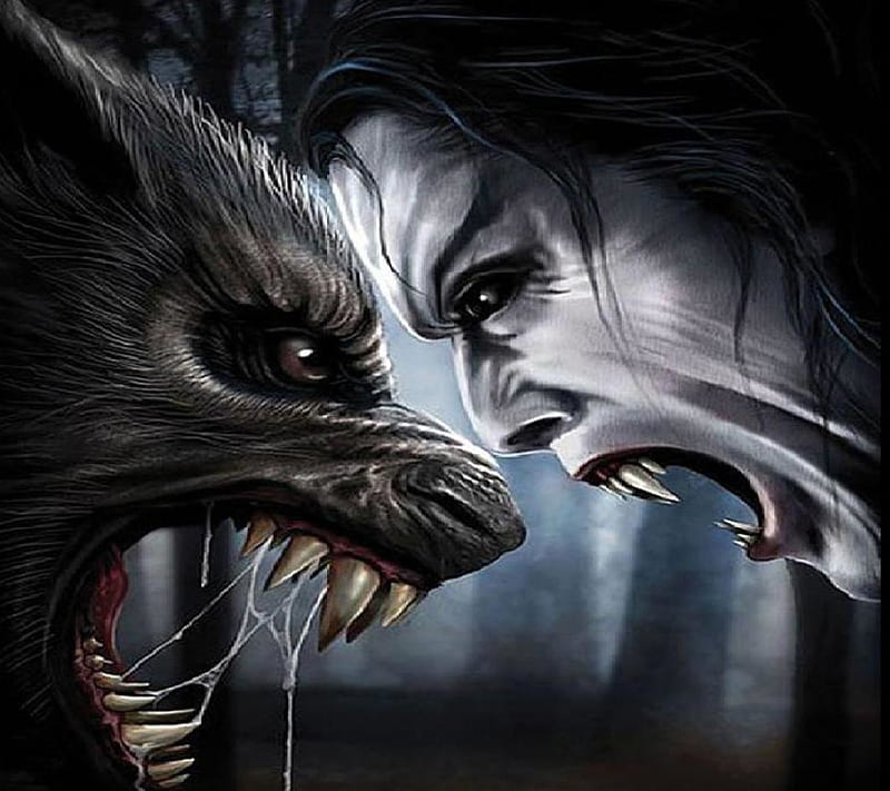 Werewolf vs Vampire, grudge match unlimited, HD wallpaper