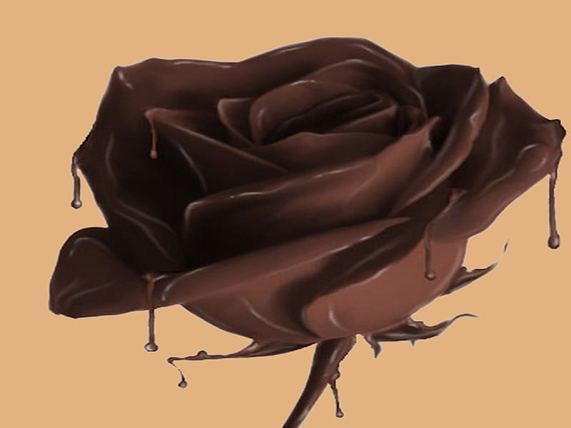 Chocolate rose, flower, valentine, rose, chocolate, HD wallpaper | Peakpx