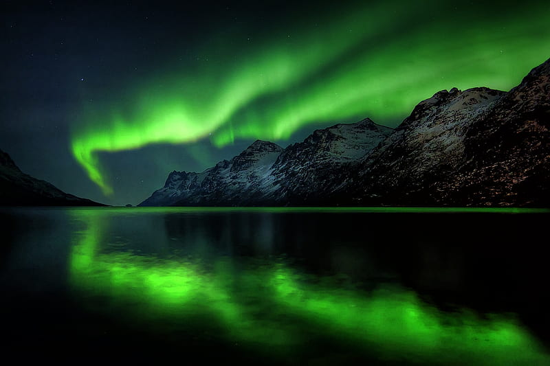 Neon Night, vivid, northern lights, green, shine, aurora borealis, bonito, HD wallpaper