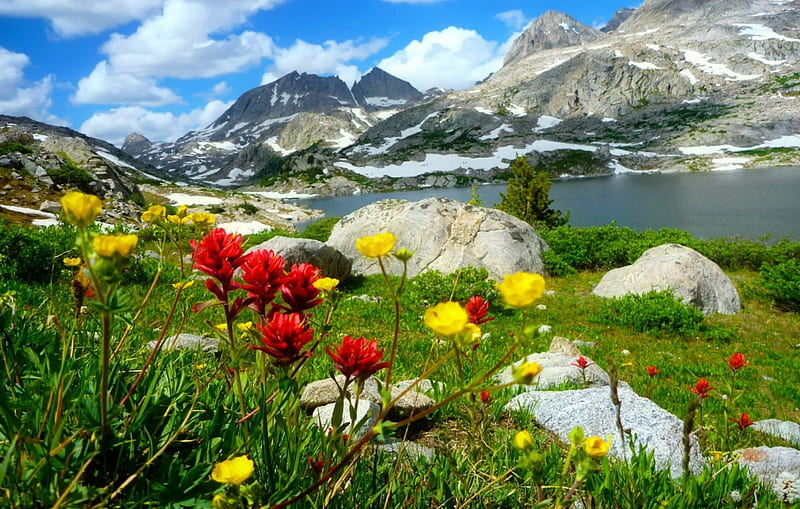 Mountainscape, rocks, grass, bonito, spring, sky, lake, freshness, mountain, stones, wildflowers, landscape, meadow, HD wallpaper