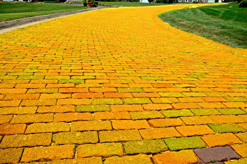 Goodbye Yellow Brick Road, yellow road, yellow brick road, follow the  yellow brick road, HD wallpaper | Peakpx
