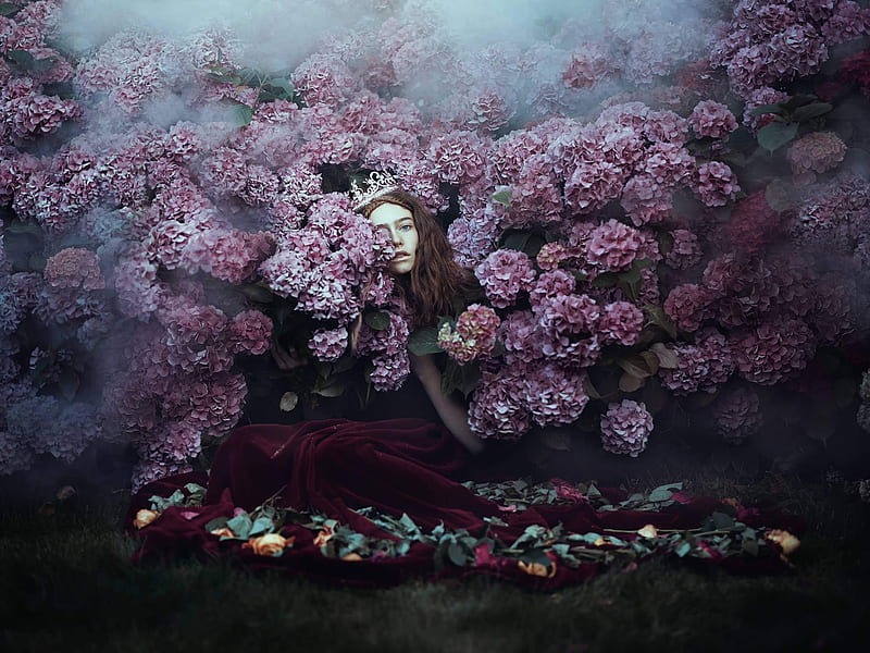 Hydrangea princess, girl, pink, bella kotak, hydrangea, model, princess, woman, HD wallpaper
