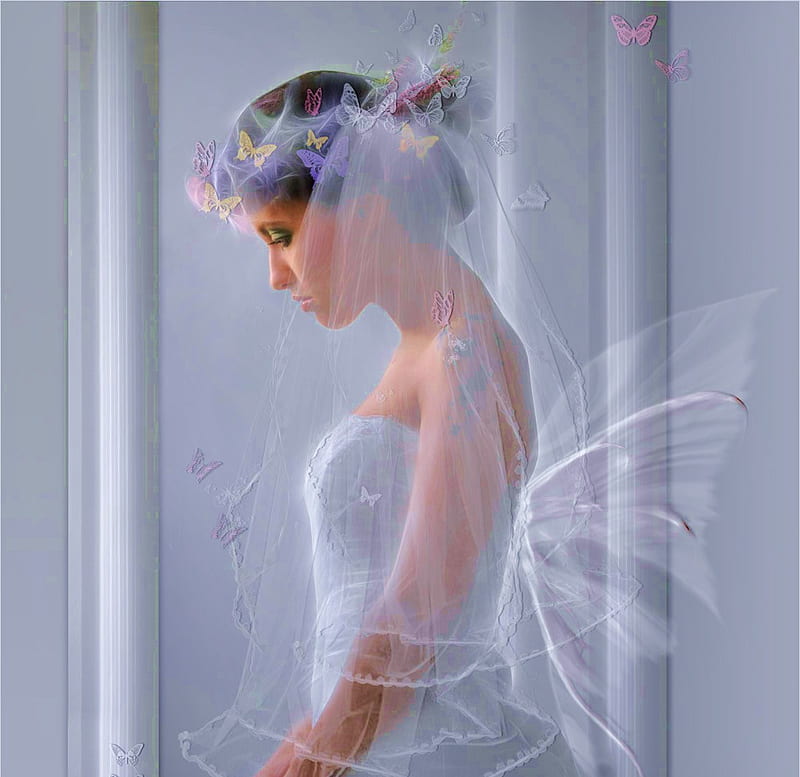 Butterfly bride, dress, wedding dress, veil, bride, butterflies, pastels, wedding, girl, chiffon, HD wallpaper