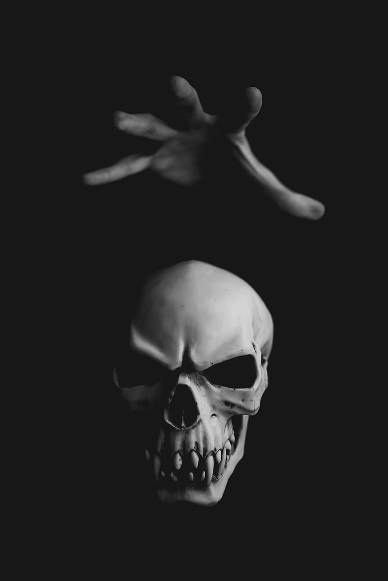 human skull, HD phone wallpaper
