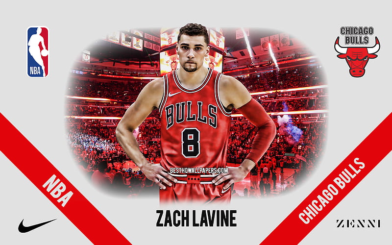 Zach LaVine, Chicago Bulls, American Basketball Player, NBA, portrait, USA, basketball, United Center, Chicago Bulls logo, Zachary LaVine, HD wallpaper
