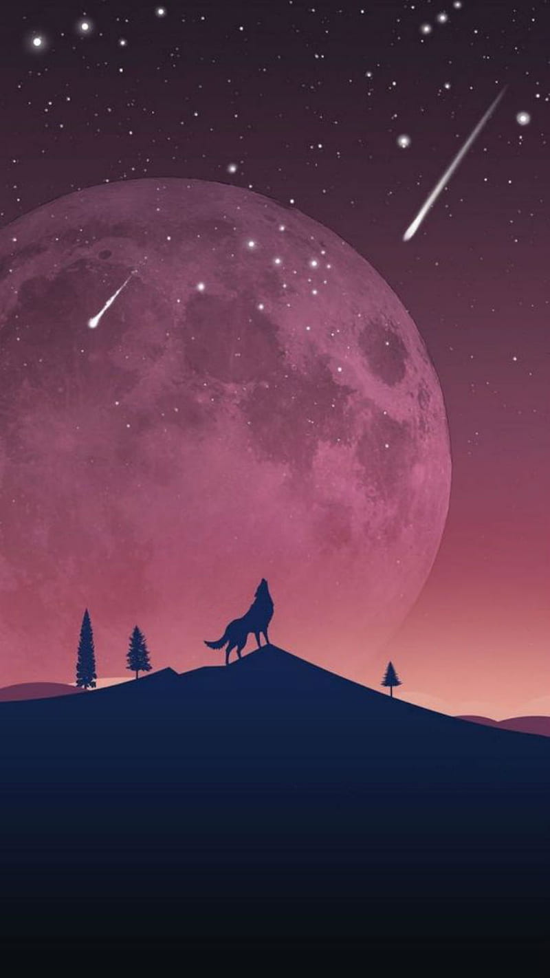 Lone wolf, moon, stars, shooting stars, silhouete, howling, space, sky, HD phone wallpaper