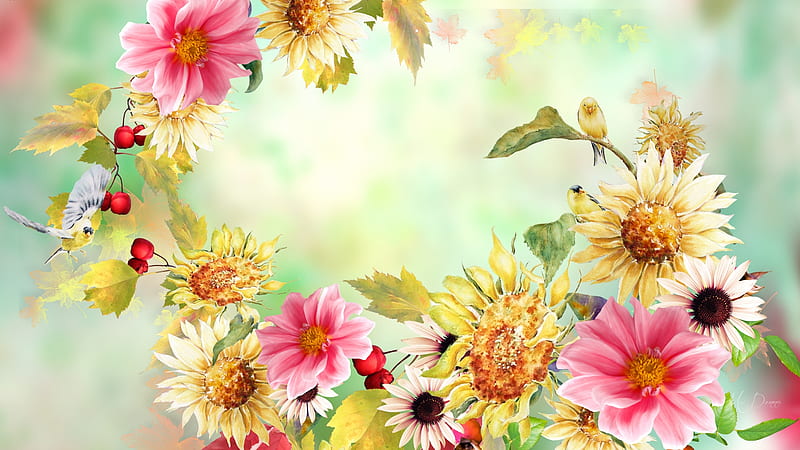 Fall Blessings, fall, autumn, mountain ash berries, birds, floral, green, sunflowers, summer, flowers, Firefox Persona theme, HD wallpaper