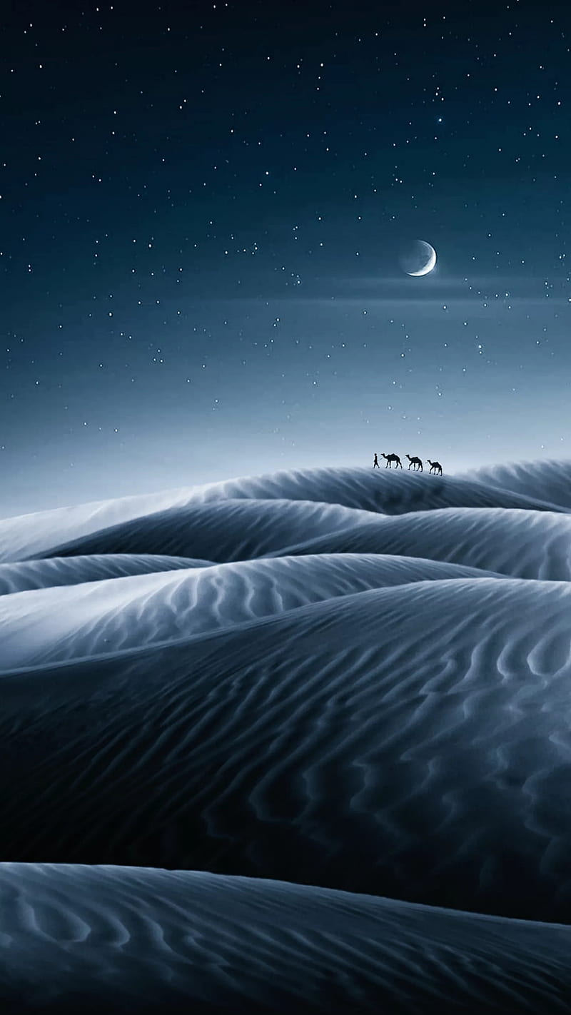 Journey, animal, blue, camel, camels, desert, moon, moonlight, night, stars, HD phone wallpaper