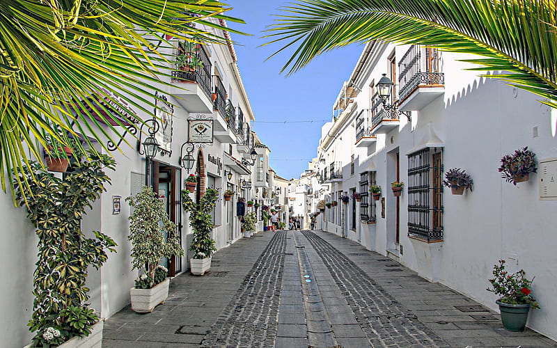 Malaga, Spain, city, Spain, houses, street, palms, HD wallpaper