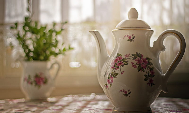 Teapot, Teacup, Window, Fragile, Table, Flowers, Plant, grahy, HD wallpaper