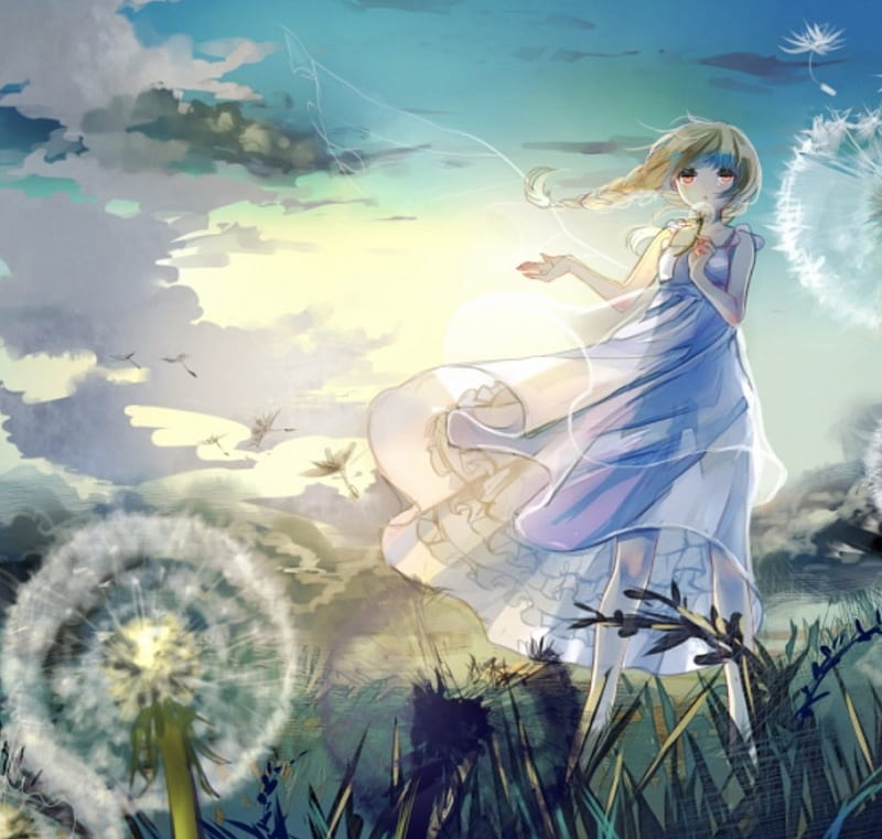 Dandelions, pretty, dress, sun, grass, bonito, sunset, woman, clouds, sweet, anime, beauty, anime girl, light, blue, female, lovely, sky, cute, girl, lady, field, HD wallpaper