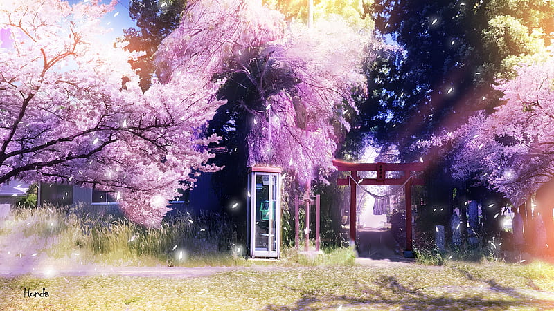 Anime Scenery, gate, nobody, sakura, torii, japanese, cherry blossom,  japan, HD wallpaper | Peakpx