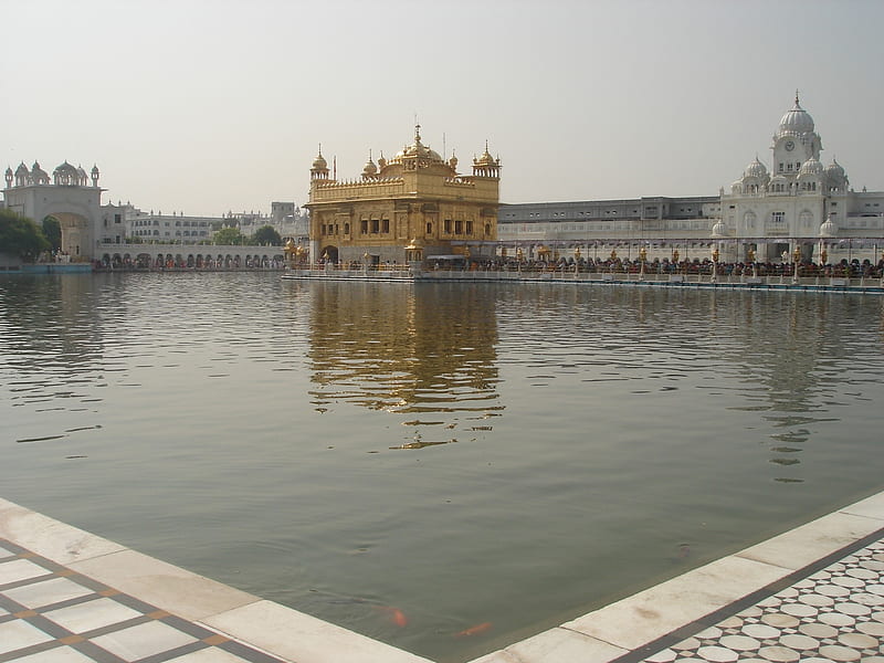 Golden Temple, Amritsar, Punjab, India, golden temple, harminder sahib, amritsar, india, punjab, HD wallpaper