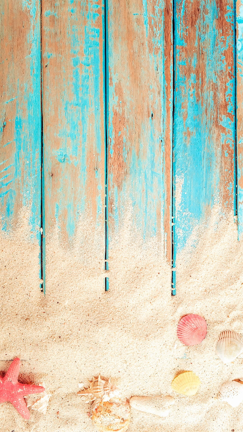Summer, blue, blue wood, sand, sea star, seashell, shell, starfish, HD phone wallpaper