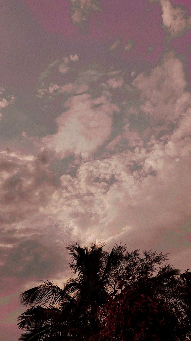 soothing-evening-clouds-natural-nature-pink-rain-rainy-romantic