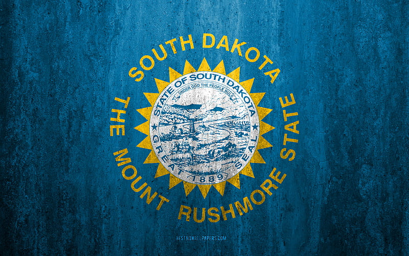 Flag of South Dakota stone background, American state, grunge flag, South Dakota flag, USA, grunge art, South Dakota, flags of US states, HD wallpaper