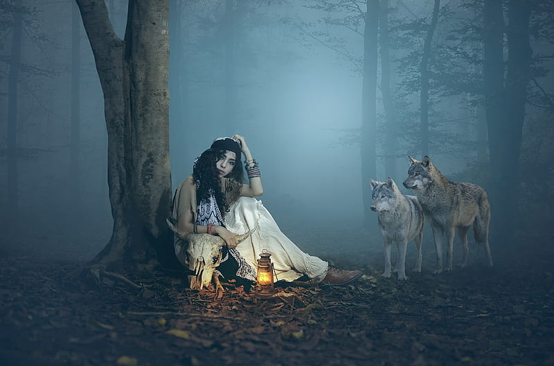 Girl and Wolves, forest, tree, girl, wolf, night, HD wallpaper | Peakpx