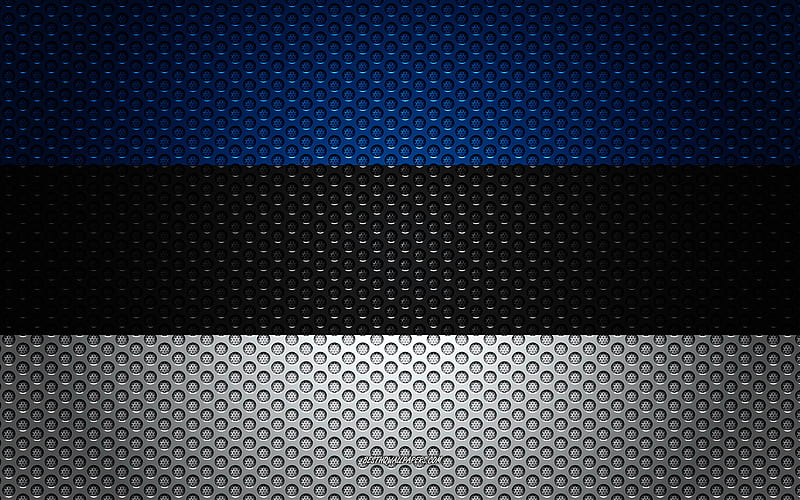 Flag of Estonia creative art, metal mesh texture, Estonian flag, national symbol, Estonia, Europe, flags of European countries, HD wallpaper