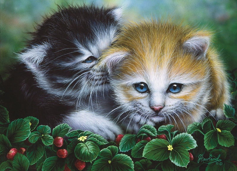 Lovely Kitten, strawberries, cubs, artwork, plants, HD wallpaper