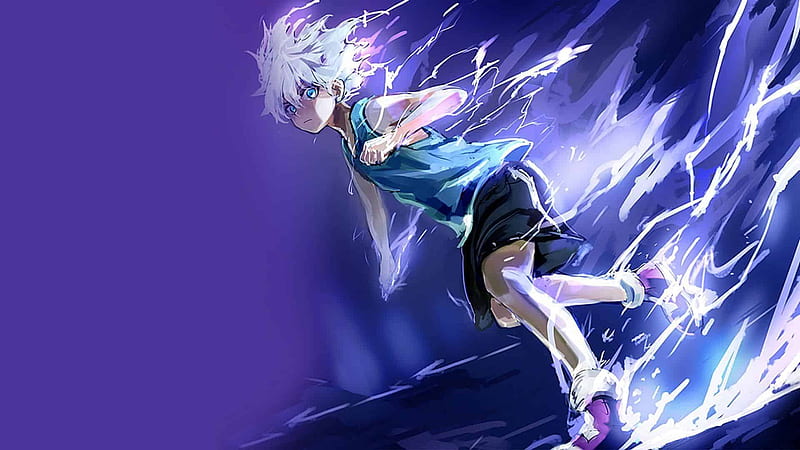 Hunter X Hunter Anime Series Hd Matte Finish Poster Paper Print - Animation  & Cartoons posters in India - Buy art, film, design, movie, music, nature  and educational paintings/wallpapers at Flipkart.com