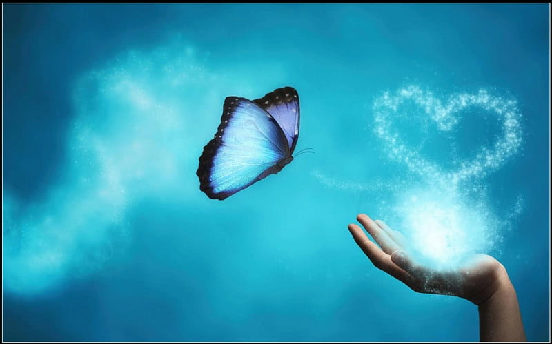 NEVER GIVE UP ON YOUR DREAMS, FANTASY, BACKGROUND, BUTTERFLY, HAND, HEART,  HD wallpaper | Peakpx