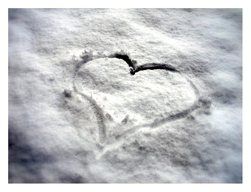 Love in winter, love, heart, nature, season, winter, HD wallpaper | Peakpx
