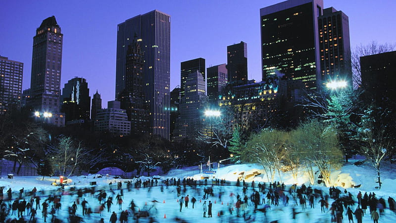 skaters at wollman rink in central park, skaters, city, park, ice rink, HD wallpaper