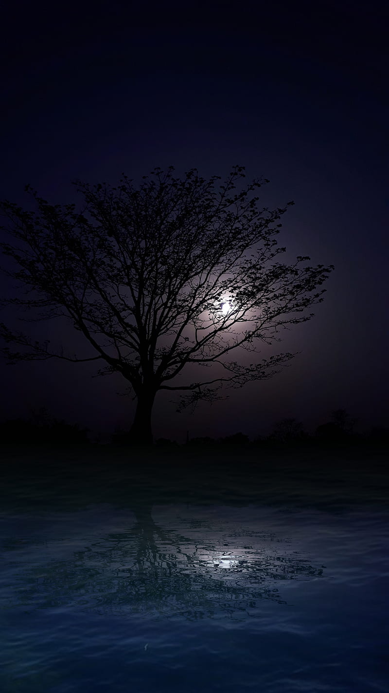 Buenas noches árbol triste, otoño, otoño, negro, azul, nubes, noche, árbol,  Fondo de pantalla de teléfono HD | Peakpx