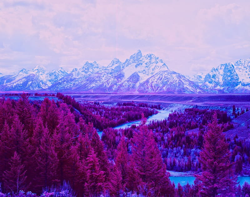 Snake River, Grand Tetons, purple, trees, landscape, mountains, HD wallpaper