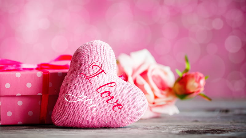 I Love You Word On Heart Symbol With Rose In Pink Bokeh Background Valentine, HD wallpaper