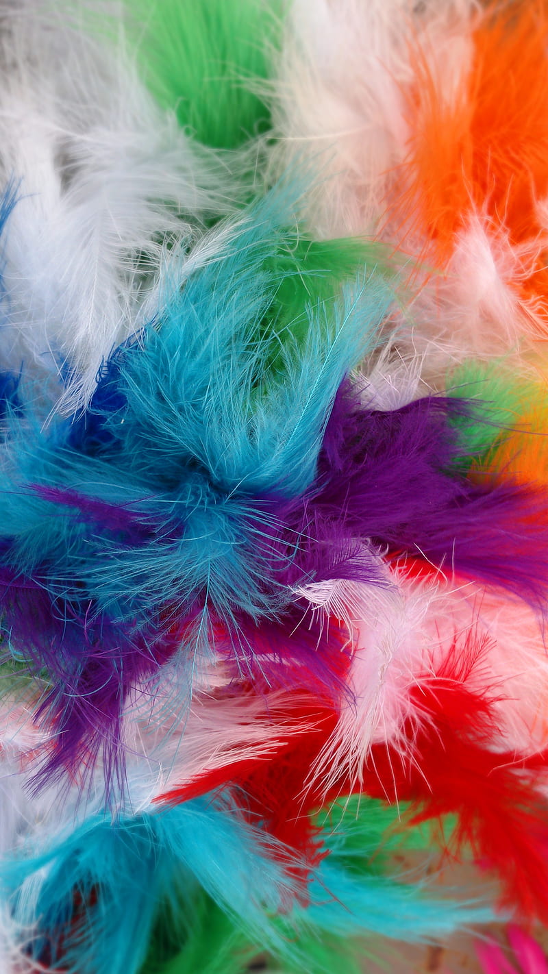 1-140401101247, feather, HD phone wallpaper | Peakpx