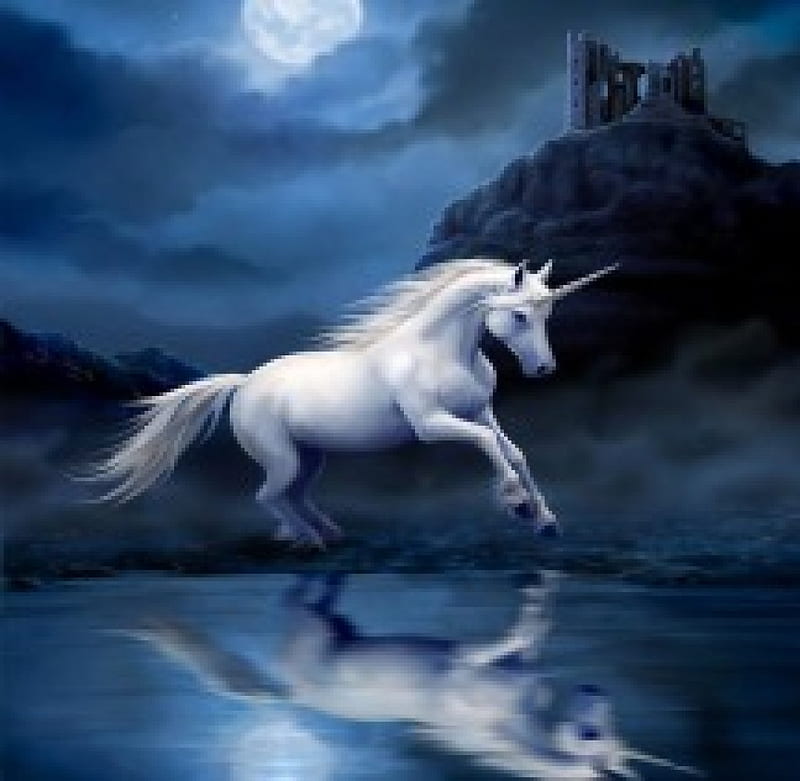 Unicorn at night, world, unicorn, black, fantasy, moon, water, dark, moonlight, land, reflection, castle, HD wallpaper