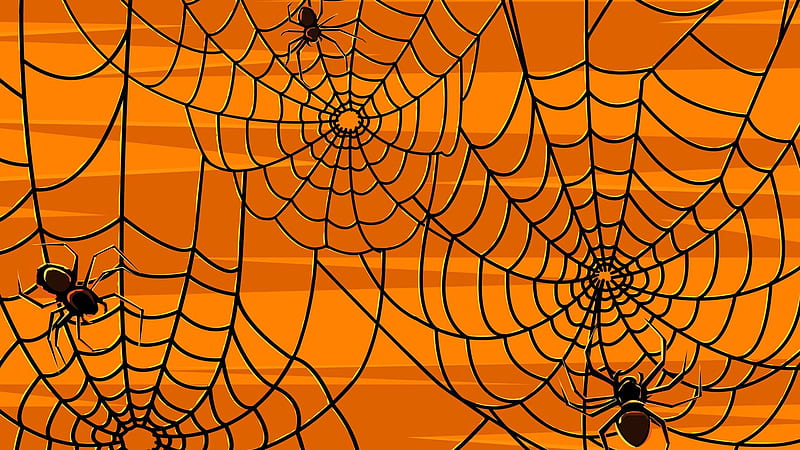 Spider Net Orange Brown Background Cute Halloween, HD wallpaper
