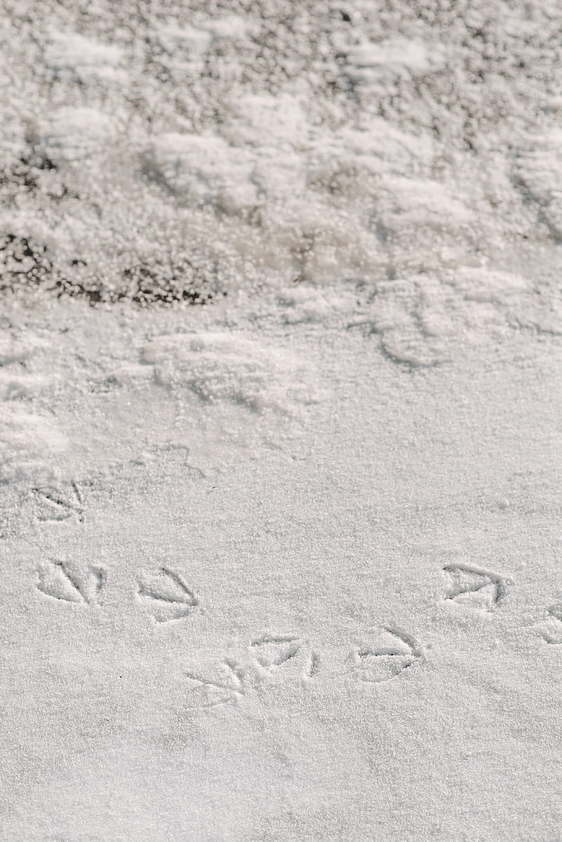 White Sand With Footprints, HD phone wallpaper